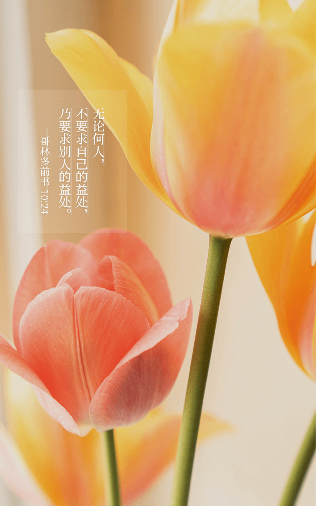 仁爱之心